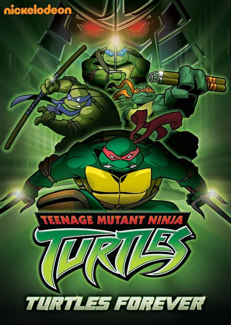 ninja turtles 2003